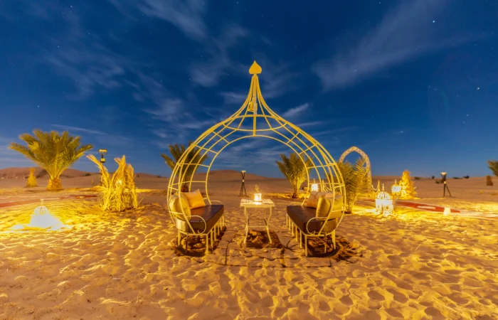 Overnight & Camel Trekking